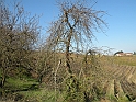 Campagna in autunno 3257